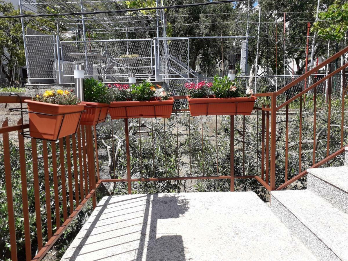 Apartments Renata سيغيت دونيي المظهر الخارجي الصورة